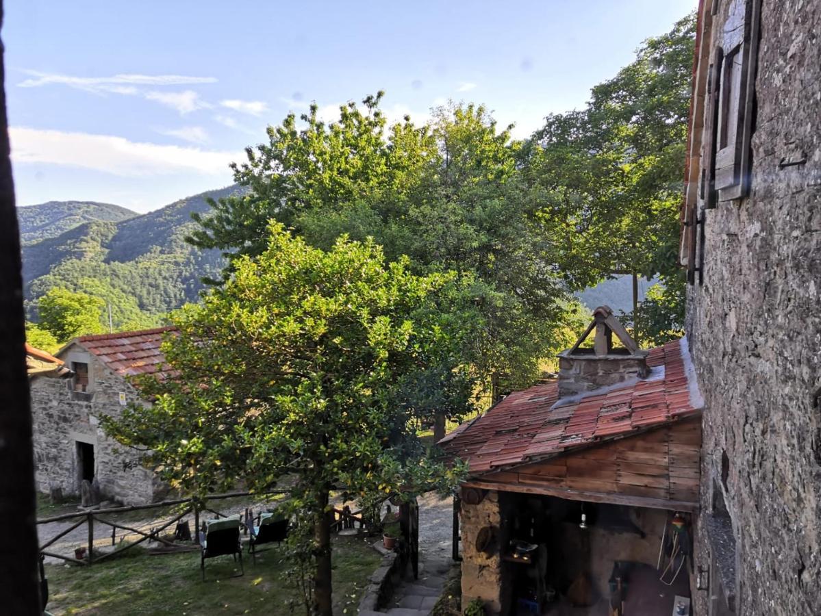 Rifugio La Castellina Hotel Il Castagno D'Andrea Esterno foto